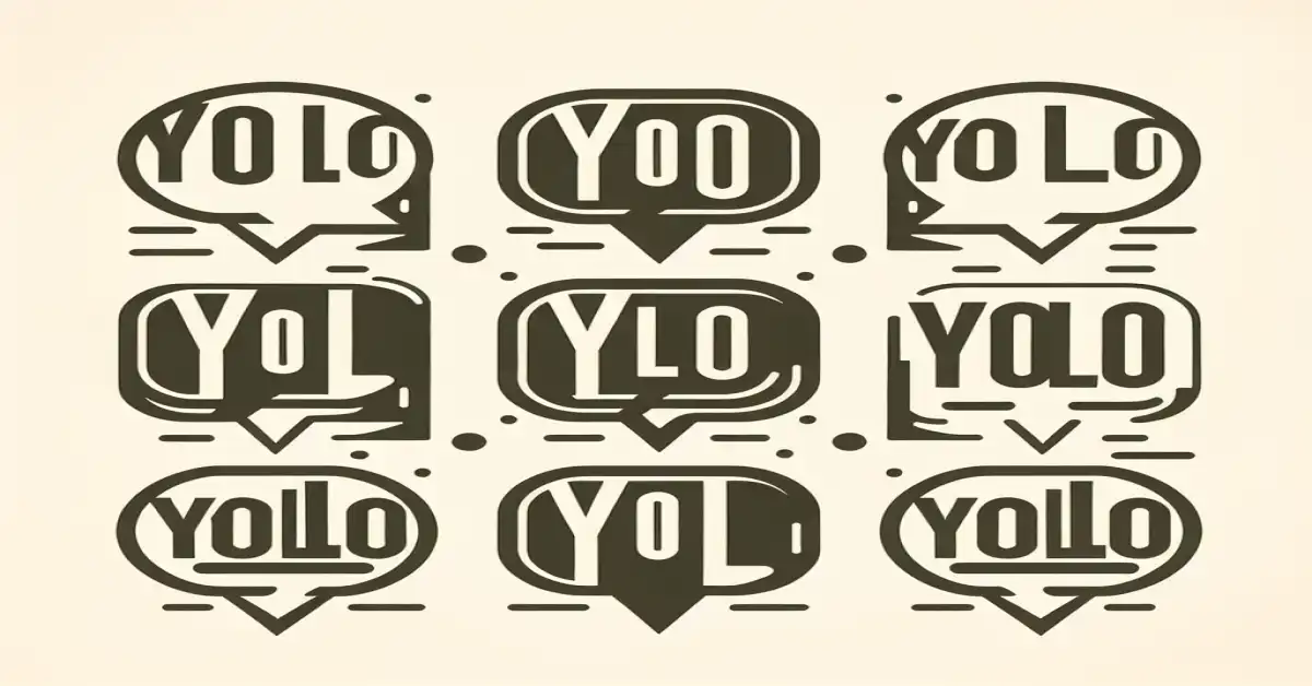 what does yolo mean in text related