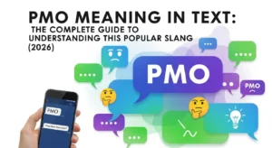 PMO Meaning in Text