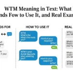 WTM Meaning in Text
