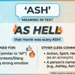 Ash Meaning in Text