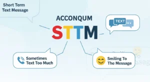 STTM Meaning in Text