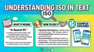 ISO Meaning in Text