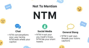 NTM Meaning in Text