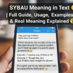 SYBAU Meaning in Text