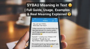 SYBAU Meaning in Text